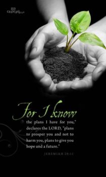 Plant-Jeremiah-29-11