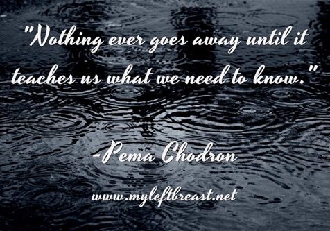 Nothing-ever-goes-away (2)