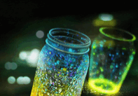 Screenshot_20190207-094945